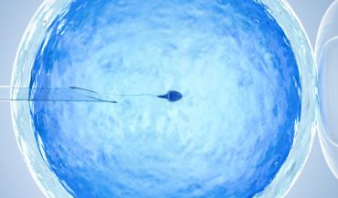 Should I go for ICSI to increase chances of IVF success?