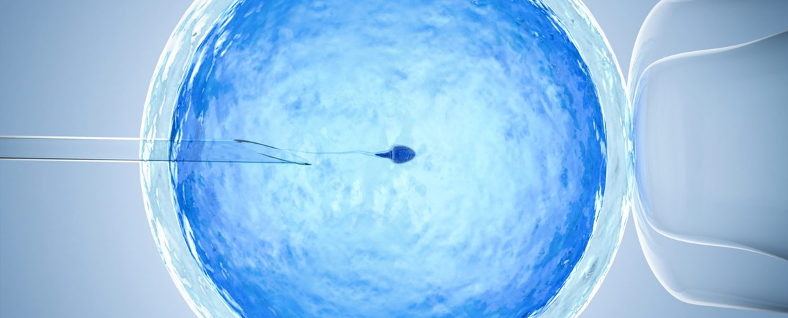 Should I go for ICSI to increase chances of IVF success?