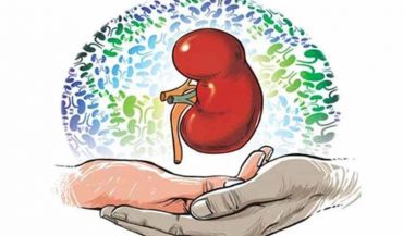 Legal Formalities for Kidney Transplant: Things You Need To Know