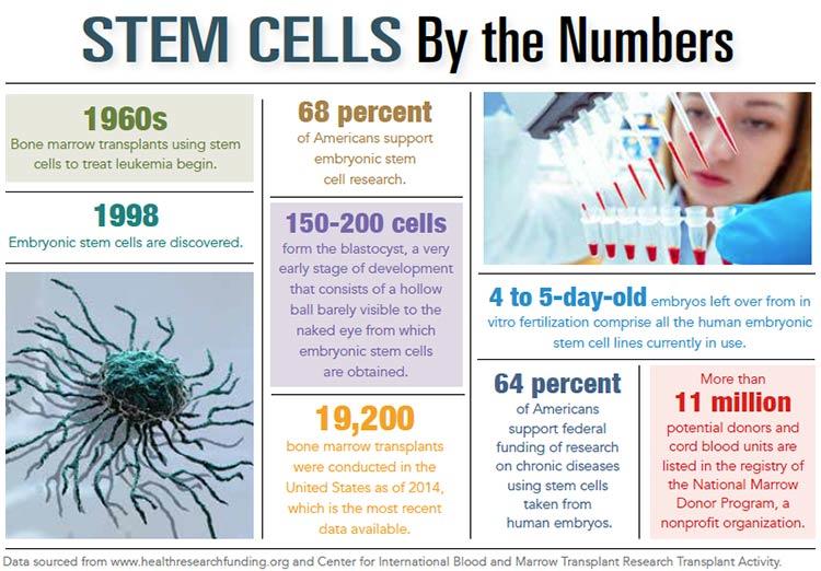 stem-cells-by-the-numbers-bone marrow transplant_medigence