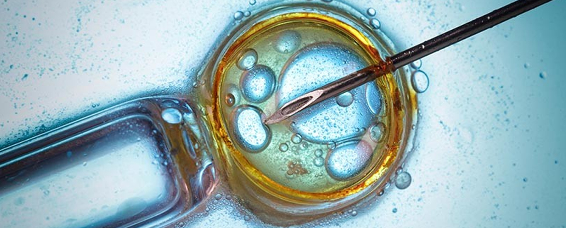 All about IVF – Success Rate, Ideal Candidates, and Types of Treatment