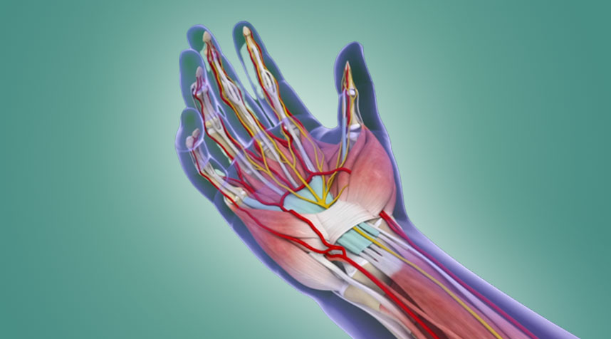 Carpal Tunnel Release Surgery Package