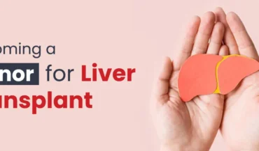 All You Need to Know About Becoming a Liver Donor