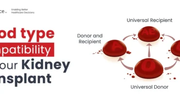 Tipos de sangre compatibles e incompatibles en el trasplante de riñón