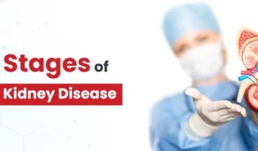 ¿Cuáles son las etapas de la enfermedad renal?