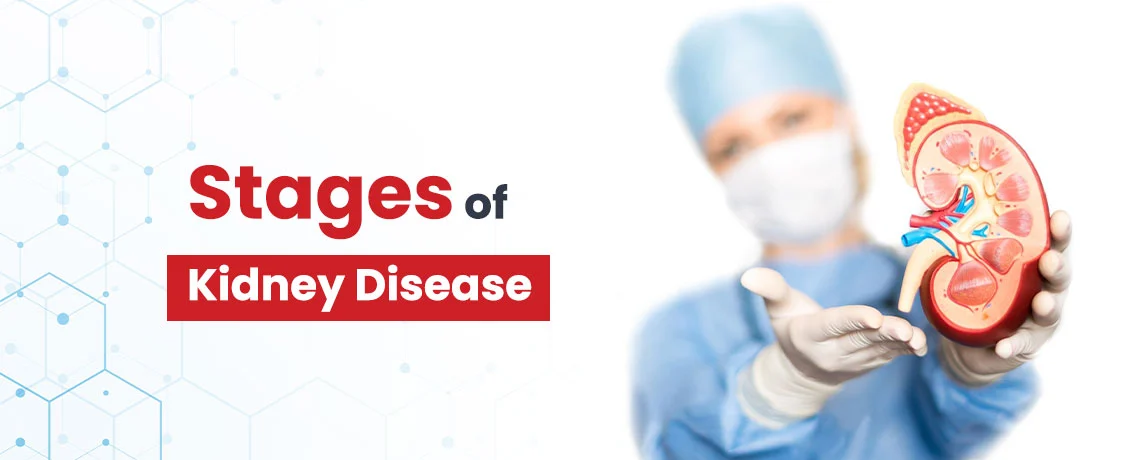 What are the Stages of Kidney Disease
