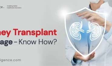 Kidney Transplant: Cost, Conditions, Risk, And Packages