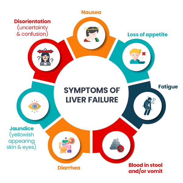 Signs and Symptoms of Liver Failure