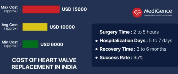 تكلفة استبدال صمام القلب في الهند
